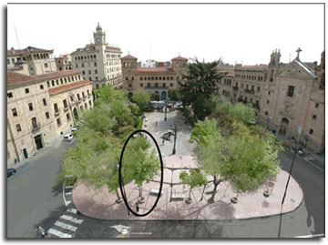 los bandos sin aparcamiento
