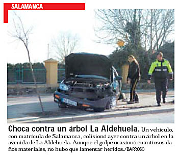 un arbolito