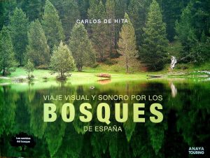 Viaje visual y sonoro por los bosques de España