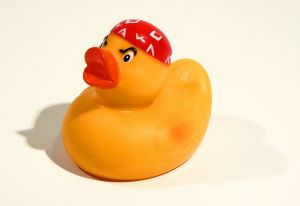 Pirate Duck, foto de Vitezslav Valka